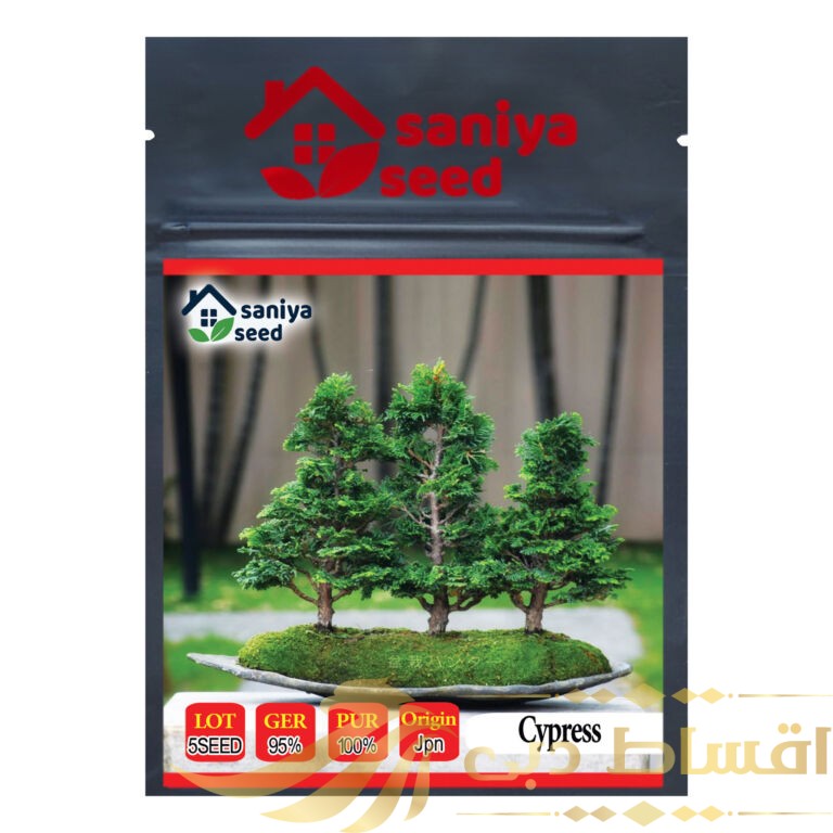 بذر بنسای سرو ژاپنی سانیا سید مدل D10