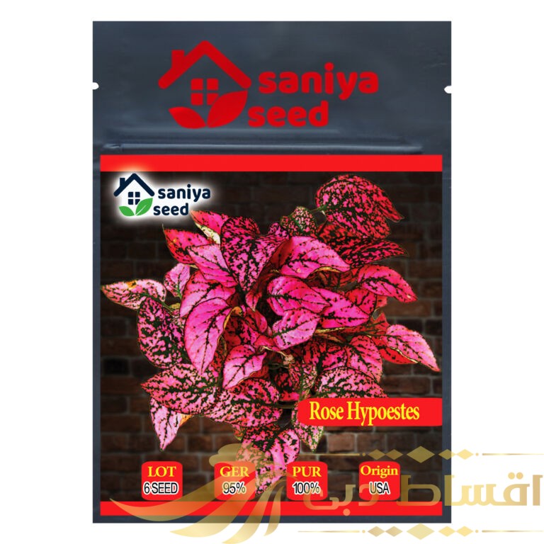 بذر گل سنگ رز سانیا سید مدل GS2