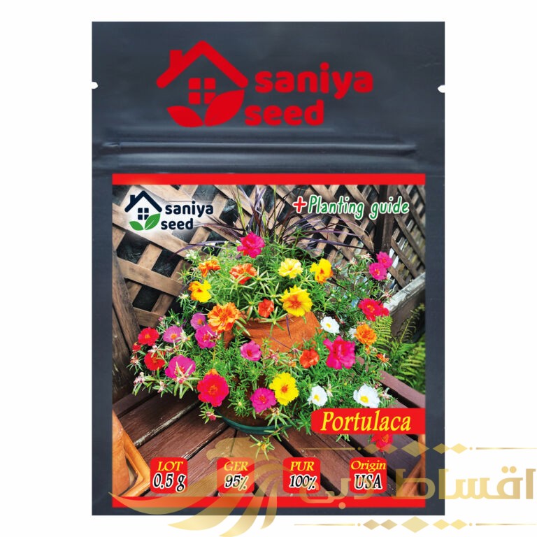 بذر گل ناز آفتابی الوان سانیا سید مدل S32