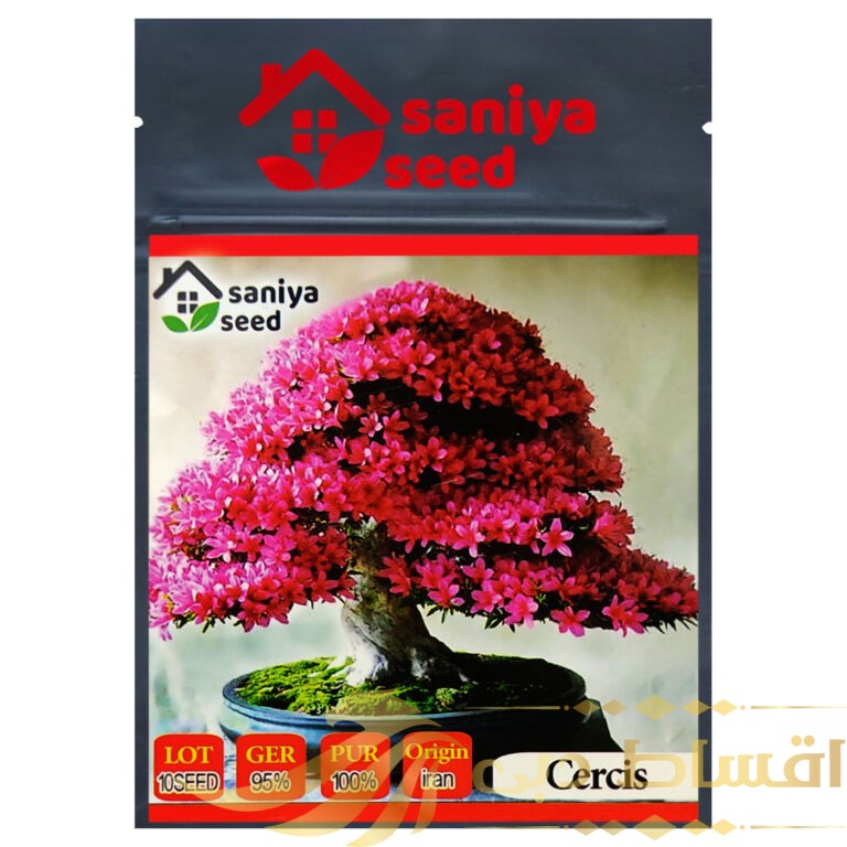 بذر بنسای ارغوان سانیا سید مدل S6