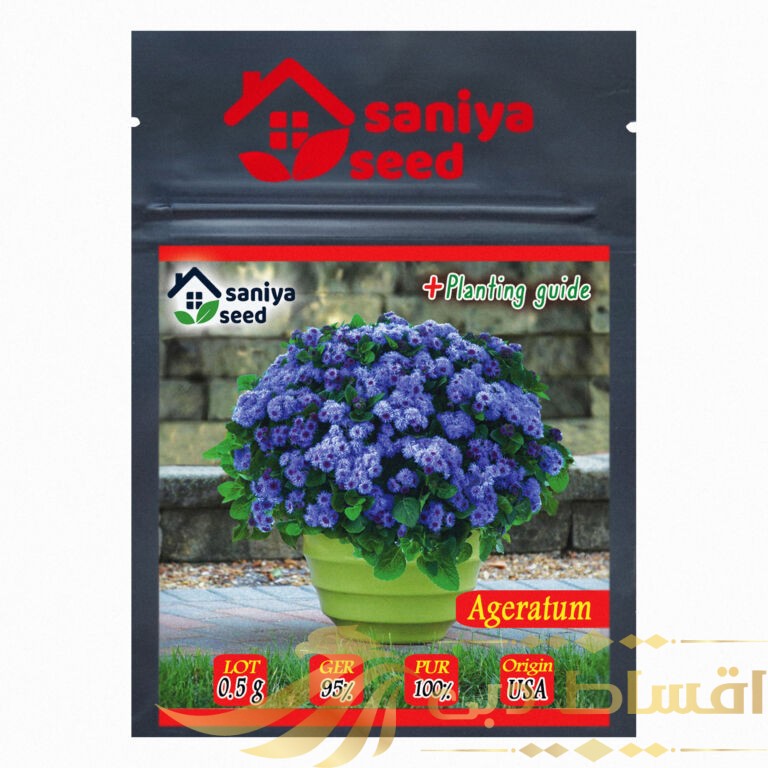 بذر گل ابری آبی سانیا سید مدل S1