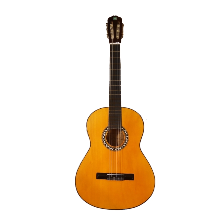 گیتار مدل دیاموند