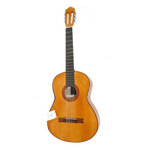 گیتار مدل DM