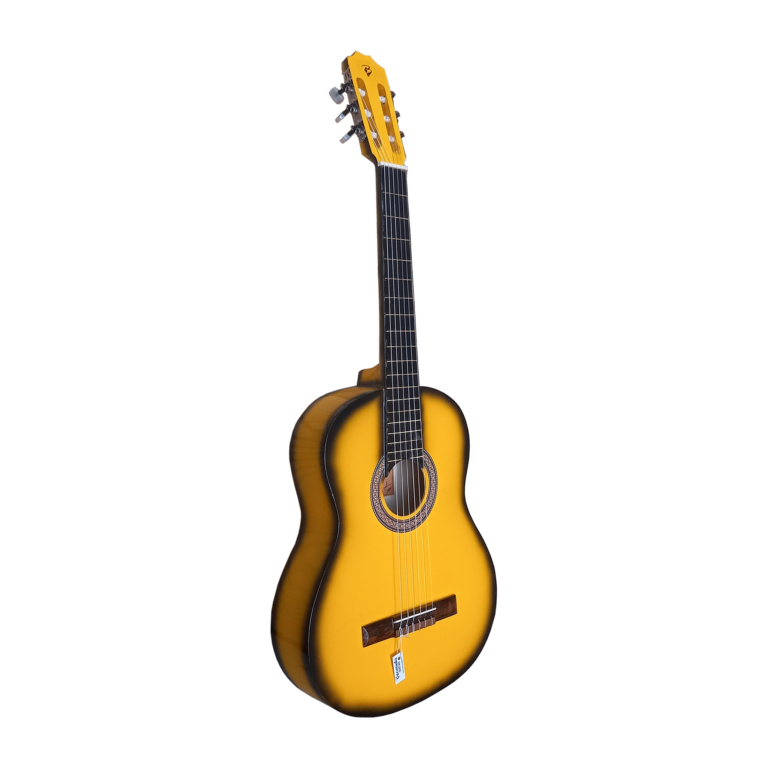 گیتار مدل B4 کد 10