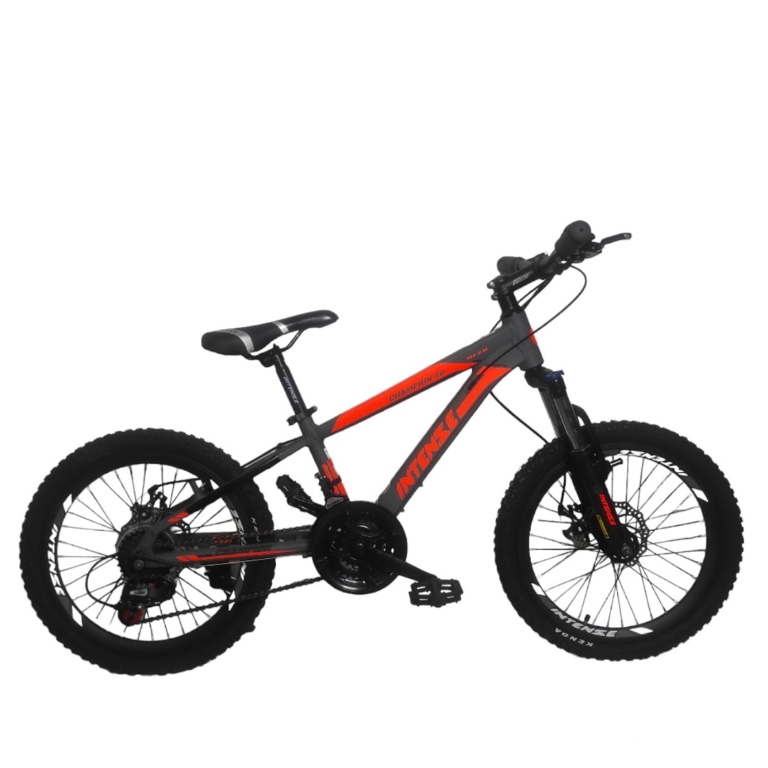 دوچرخه کوهستان مدل champion 020 سایز طوقه 20
