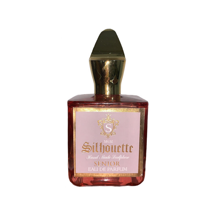 ادو پرفیوم مردانه سیلوئت مدل سینیور حجم 100 میلی لیتر