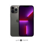 گوشی موبایل اپل مدل iPhone 13 Pro Max CH دو سیم‌ کارت ظرفیت یک ترابایت و رم 6 گیگابایت - نات اکتیو